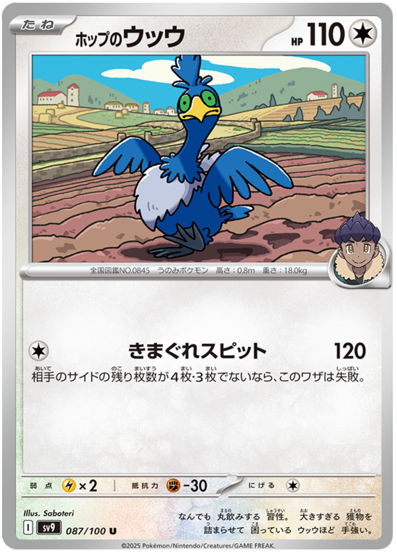 Hop's Cramorant #87 Pokémon Card from Pokemon Japanese Battle Partners Set 