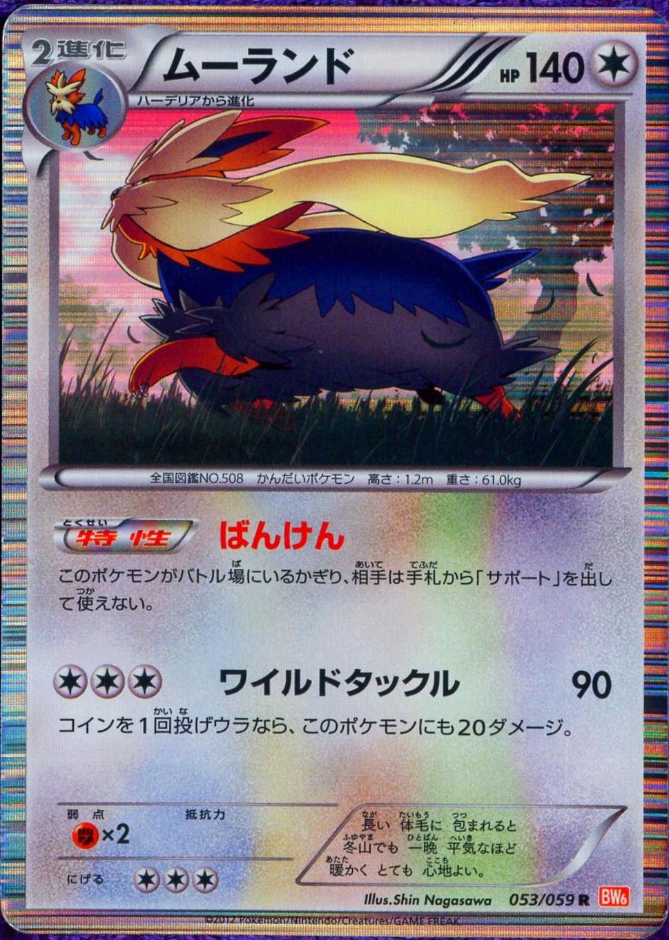 Stoutland #53 Pokémon Card from Pokemon Japanese Cold Flare Set 