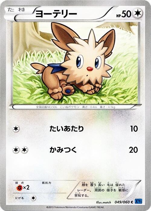 Lillipup #49 from Japanese Collection X Pokémon card set