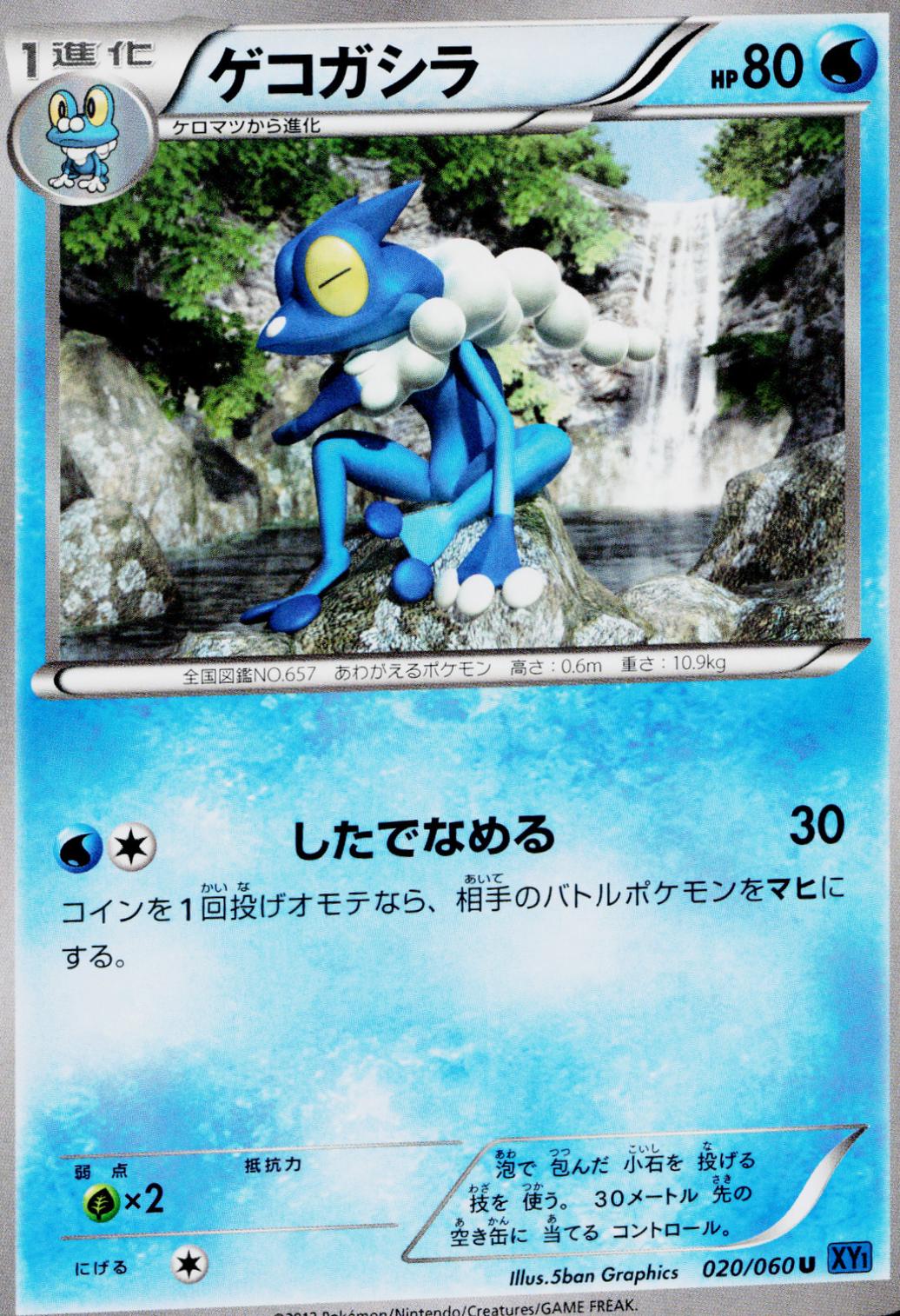 Frogadier #20 from Japanese Collection X Pokémon card set