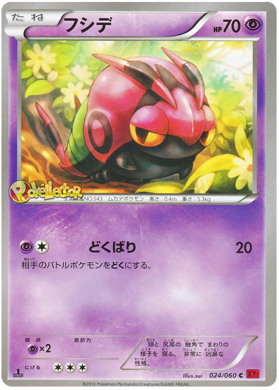 Venipede #24 Pokémon Card from Pokemon Japanese Collection Y Set 