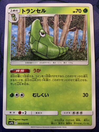 Metapod #3 Pokémon Card from Pokemon Japanese Full Metal Wall Set 