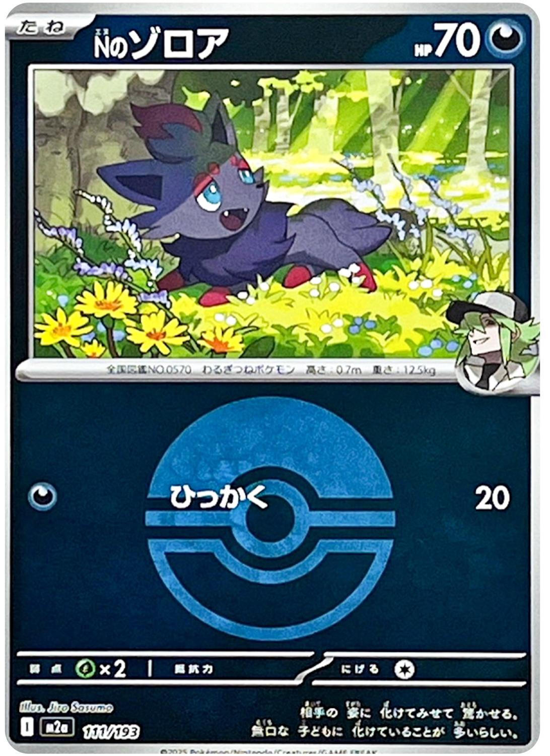 N's Zorua [Ball] #111 Pokémon Card from Pokemon Japanese Mega Dream ex Set 
