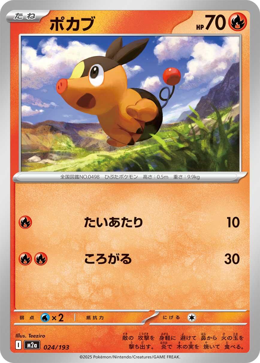 Tepig #24 Pokémon Card from Pokemon Japanese Mega Dream ex Set 