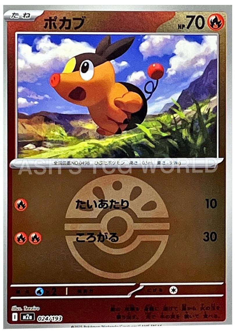 Tepig [Ball] #24 Pokémon Card from Pokemon Japanese Mega Dream ex Set 