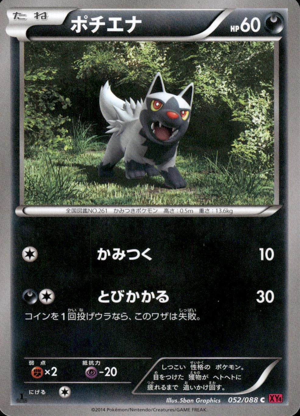 Poochyena #52 Pokémon Card from Pokemon Japanese Phantom Gate Set 