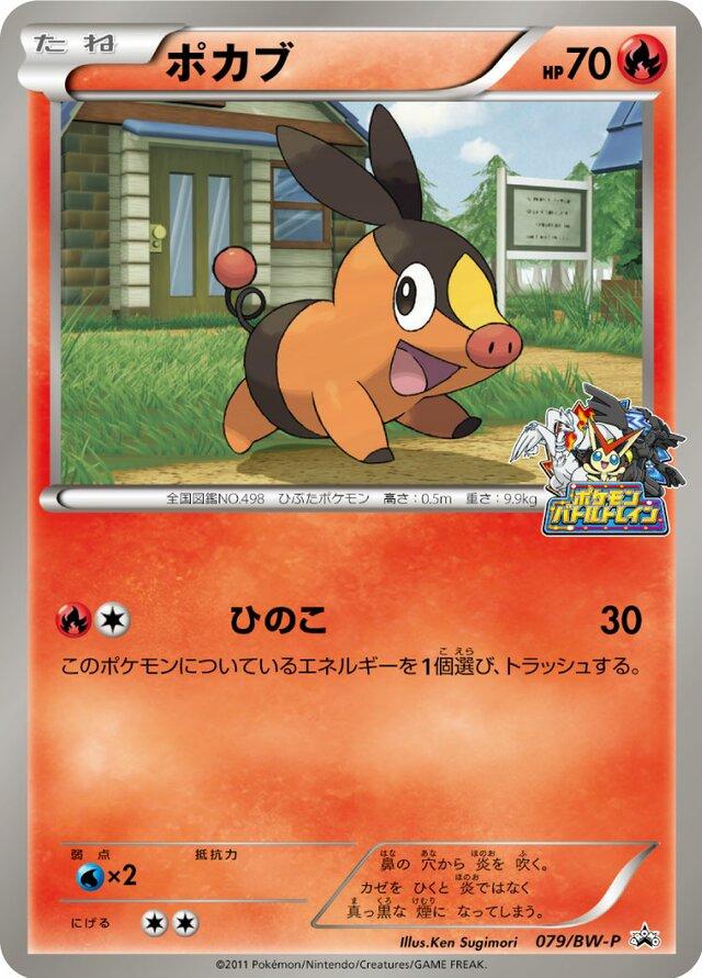 Tepig [Hokkaido Battle] #79/BW-P from Japanese Black & White Era Pokémon card set
