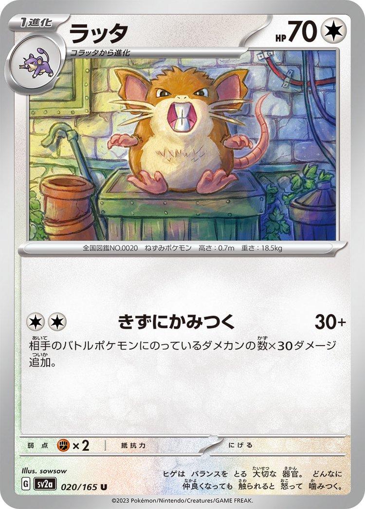 Raticate #20 Pokémon Card from Pokemon Japanese Scarlet & Violet 151 Set 