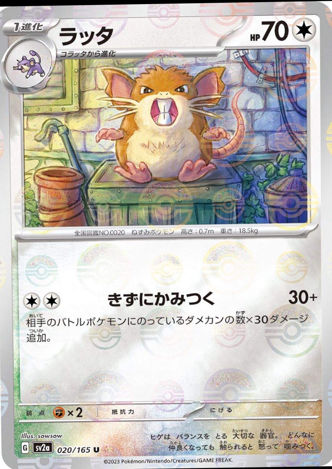Raticate [Reverse] #20 from Pokemon Japanese Scarlet & Violet 151