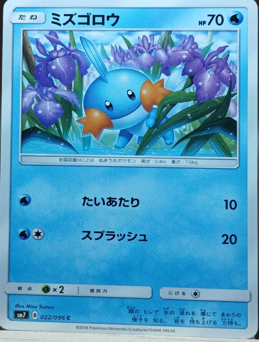 Mudkip #22 from Japanese Sky-Splitting Charisma Pokémon card set