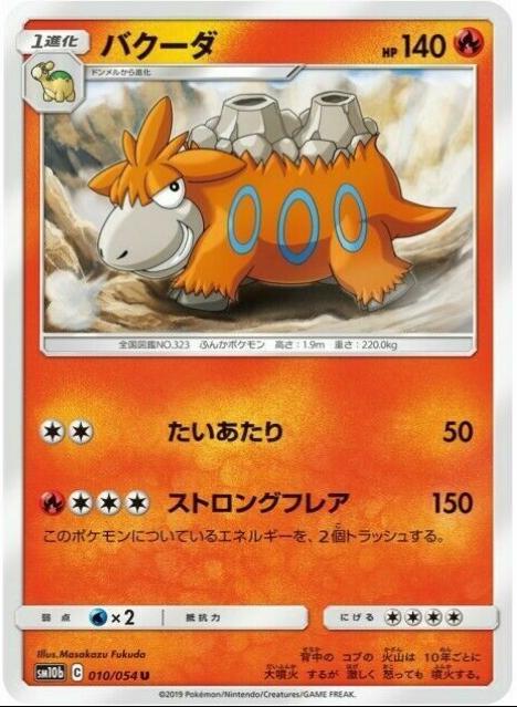 Camerupt #10 Pokémon Card from Pokemon Japanese Sky Legend Set 