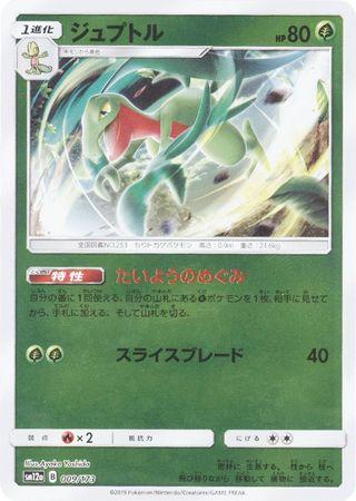Grovyle #9 Pokémon Card from Pokemon Japanese Tag All Stars Set 