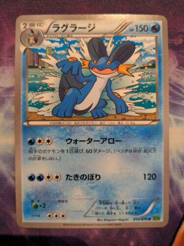 Swampert #14 from Japanese Tidal Storm Pokémon card set