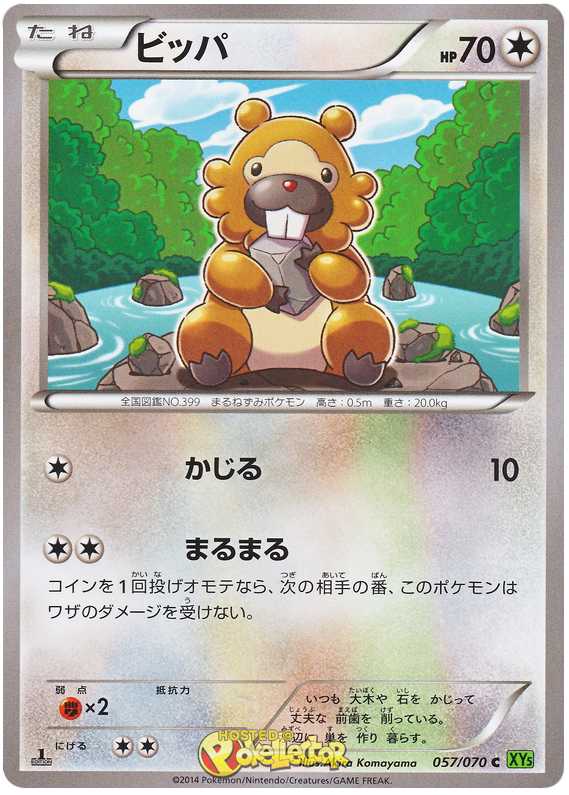 Bidoof #57 Pokémon Card from Pokemon Japanese Tidal Storm Set 