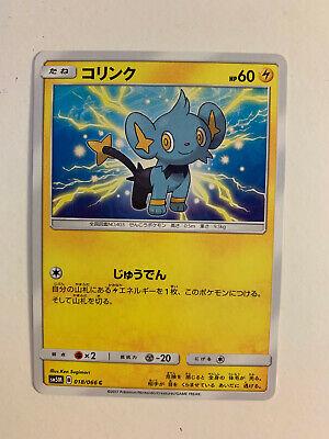 Shinx #18 Pokémon Card from Pokemon Japanese Ultra Moon Set 