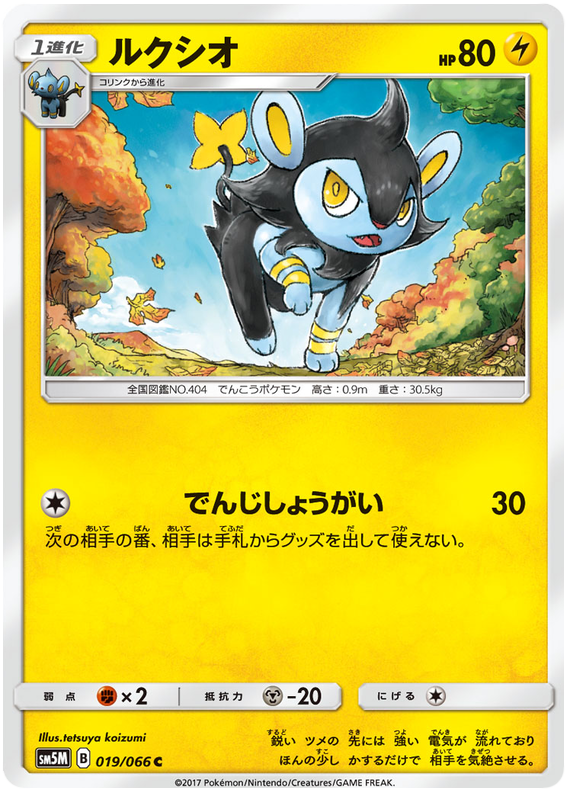 Luxio #19 Pokémon Card from Pokemon Japanese Ultra Moon Set 