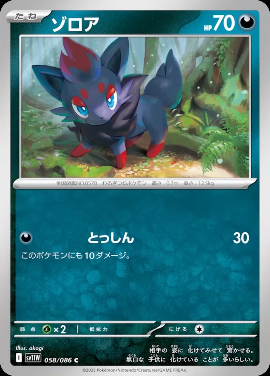 Zorua #58 Pokémon Card from Pokemon Japanese White Flare Set 