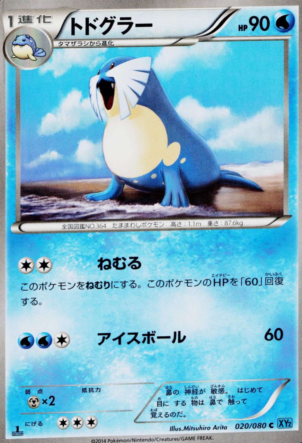 Sealeo #20 from Japanese Wild Blaze Pokémon card set